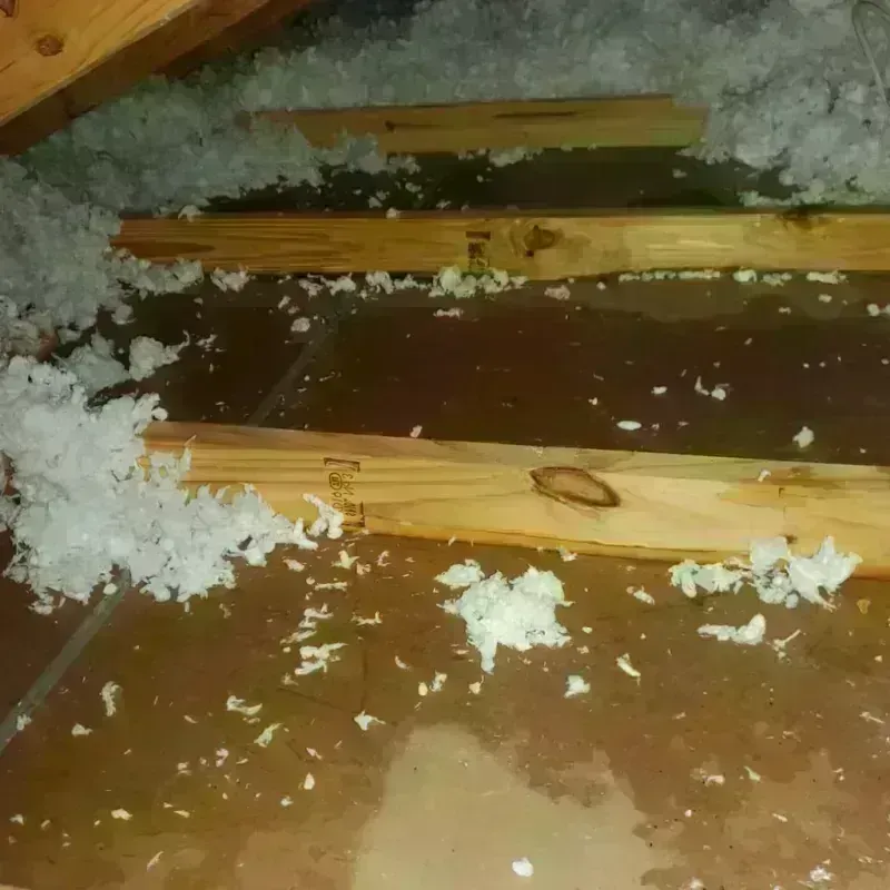 Attic Water Damage in Gholson, TX